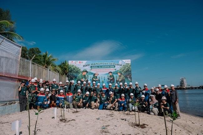 Perkuat Ekosistem Pantai Wilayah Pesisir, Pertamina Hulu Rokan Tanam 700 Mangrove di Pesisir Dumai