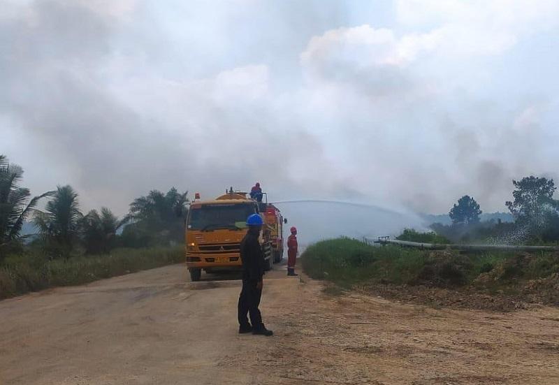 Karhutla Dekat Pipa Penyalur Minyak di Jambi, Berhasil Dipadamkan