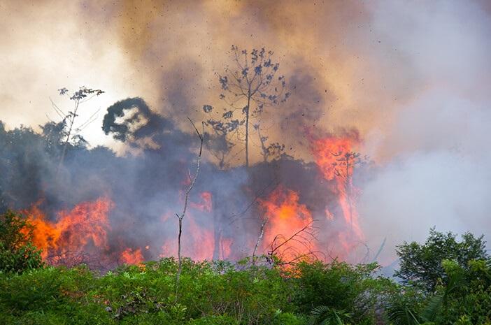 Memburuk, Kualitas Udara Pekanbaru Masuki Level Sangat Tidak Sehat Akibat Kabut Asap