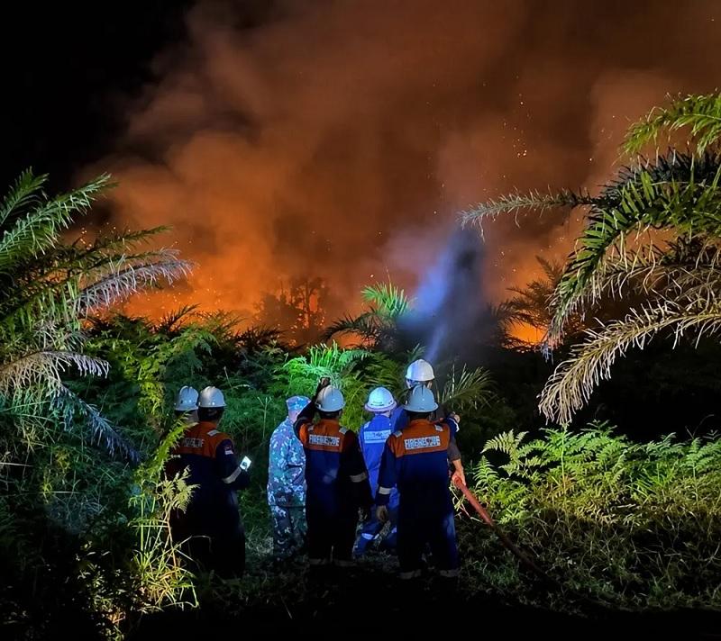 Kebakaran Hutan dan Lahan Mendekati Sumur Minyak BSP, Bupati Siak Pimpin Pemadaman Hingga Tengah Mal