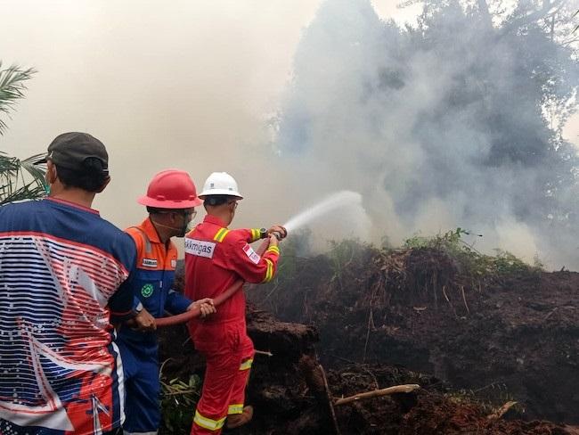 Atasi Kebakaran Hutan dan Lahan di Riau, SKK Migas dan KKKS Sumbagut Kerahkan Personel dan Peralatan