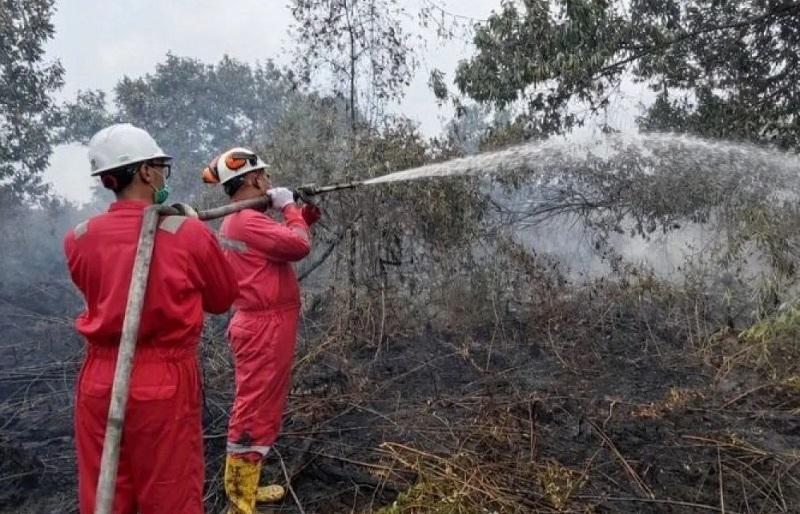Bantu Dampak Karhutla di Pelalawan, EMP Bentu Turunkan Personil dan Salurkan 18 Ribu Masker ke Warga