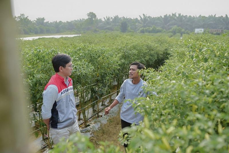 Pulih Pasca Banjir Melalui PPM, Pertamina EP Rantau Berdayakan Kelompok Tani Tunas Muda Aceh Tamiang
